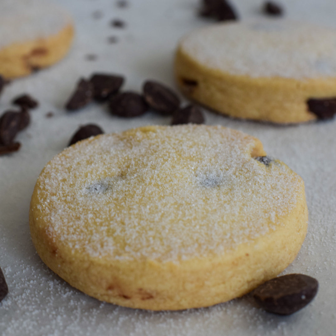 Dark chocolate chip shortbread cookies with a dusting of sugar and chocolate chips placed around it on white backdrop