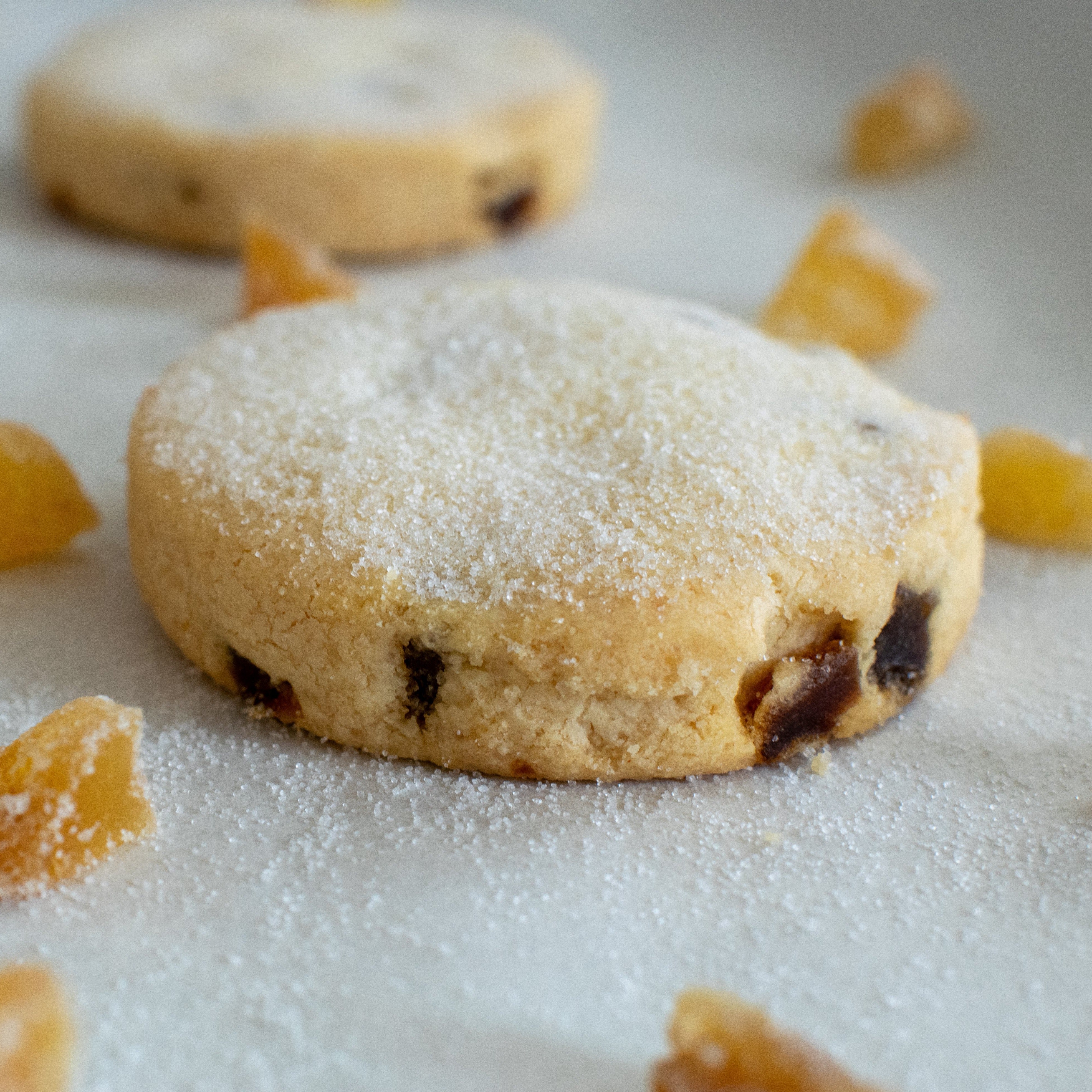 A large stem ginger shortbread cookie with a dusting of sugar, with a few pieces of stem ginger around the shortbread cookie. On a white background.