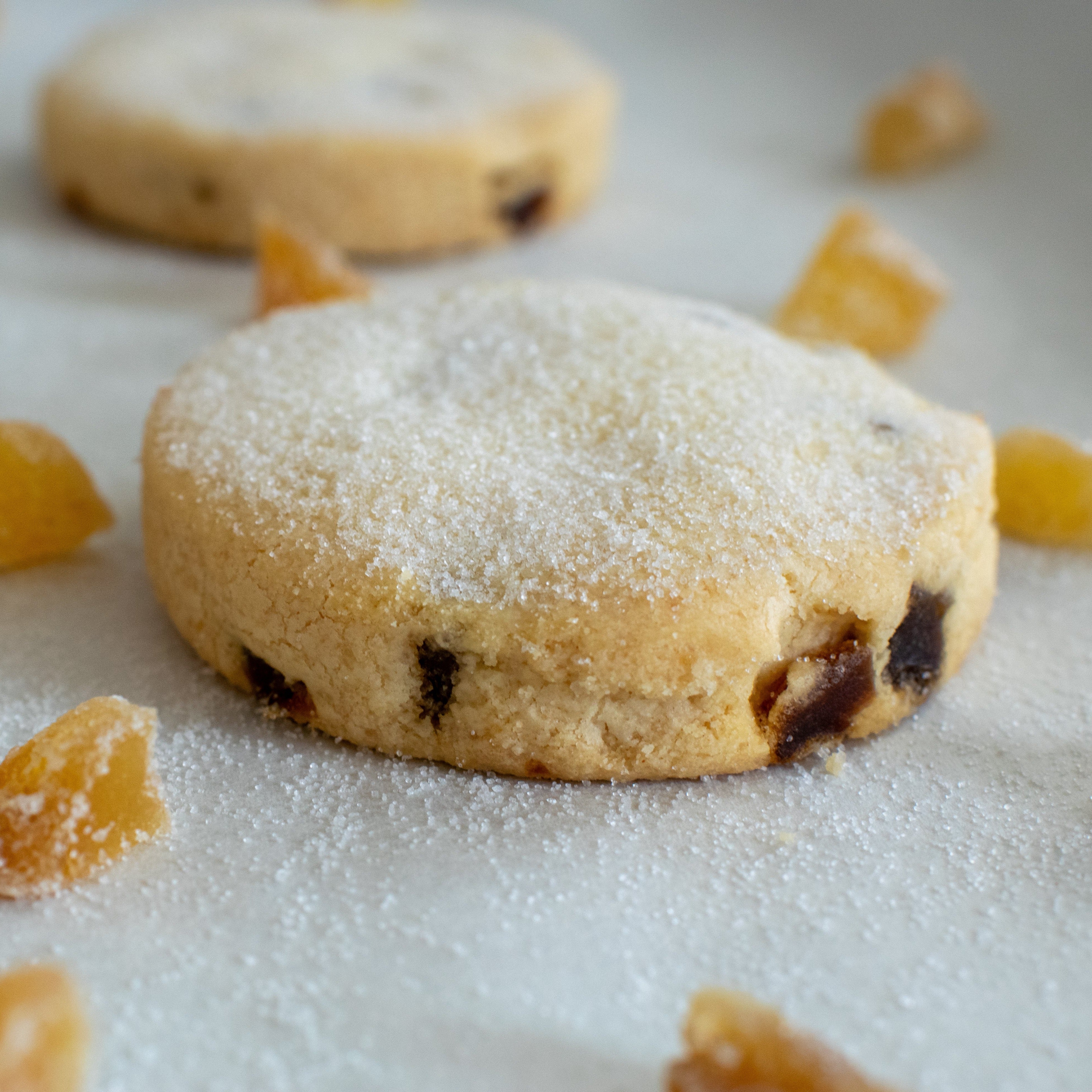 A large gluten free stem ginger shortbread cookie with a dusting of sugar, with a few pieces of stem ginger around the shortbread cookie. On a white background.