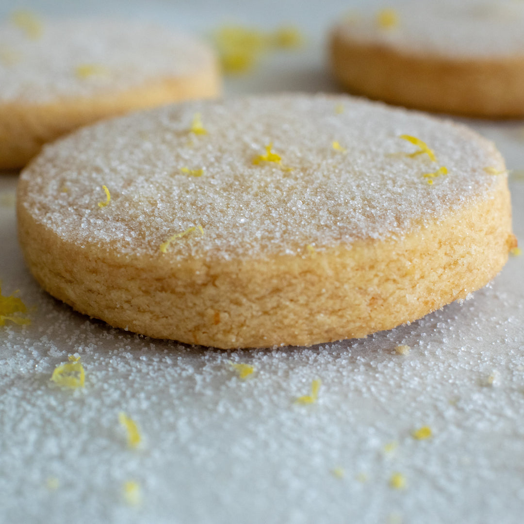 A gluten free large meyer lemon shortbread cookie with a dusting of sugar and lemon zest on top of it , on a white background.