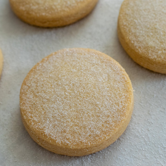 A large shortbread cookie with a dusting of sugar on a white background with three more shortbread cookies around it.