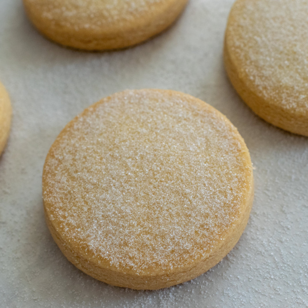 A large gluten free shortbread cookie with a dusting of sugar on a white background with three more shortbread cookies around it.