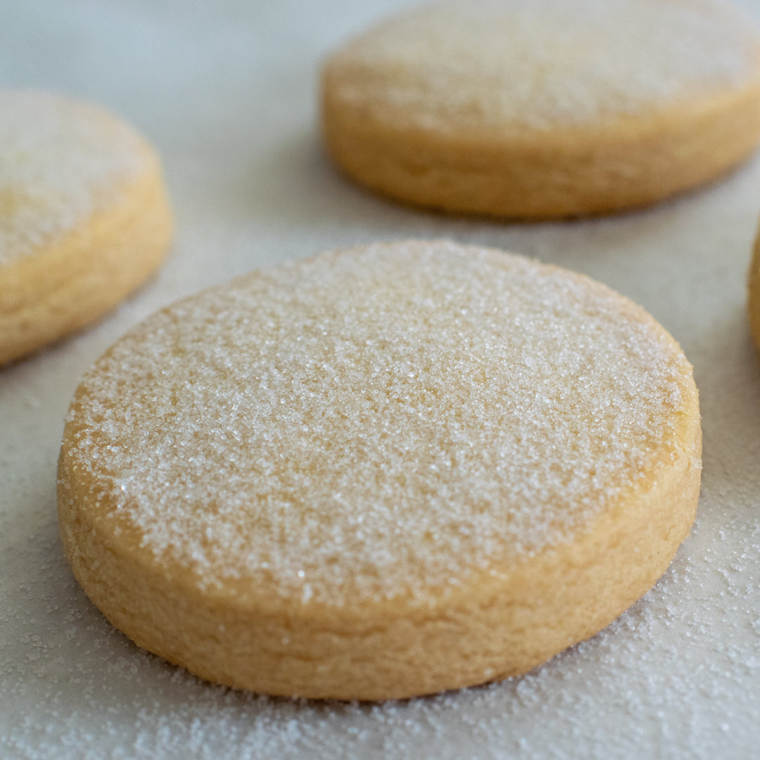A large shortbread cookie with a dusting of sugar on a white background with three more shortbread cookies around it.
