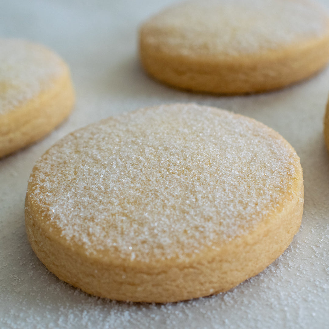 A large gluten free shortbread cookie with a dusting of sugar on a white background with three more shortbread cookies around it.